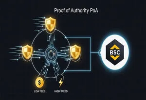 POA Binance là gì